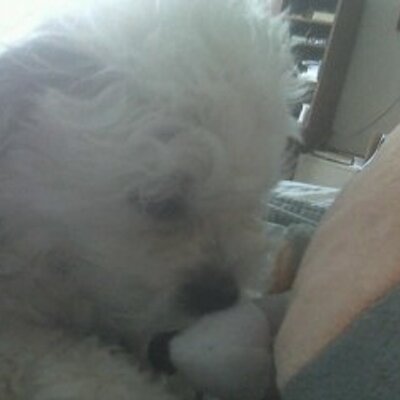 Profile Picture of Kala Newman (@calla_lilly08) on Twitter