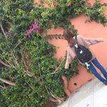 Profile Picture of Lisa Takahashi (@booklst120) on Instagram