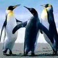 Profile Picture of Ian Brandt (@ian-brandt-2) on Quora