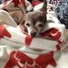 Profile Picture of Matt Bremer (@mattbremer) on Pinterest