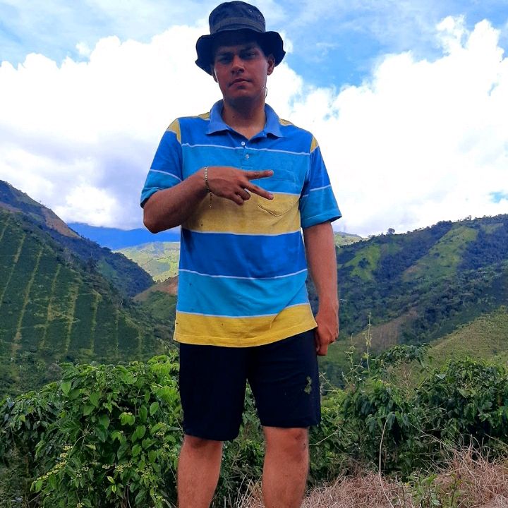 David Falla - Tiktok Profile Picture of David Falla (@davidfalla1) on Tiktok