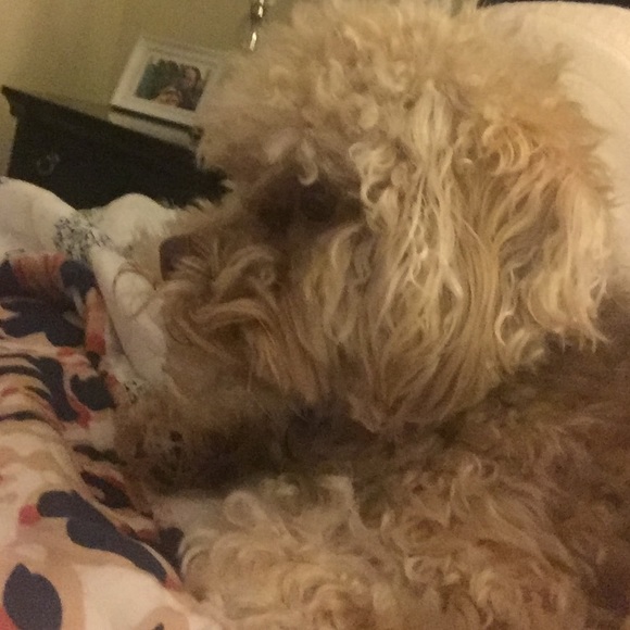 Martha Samuel - Poshmark Profile Picture of Martha Samuel (@marthasamuel28) on Poshmark