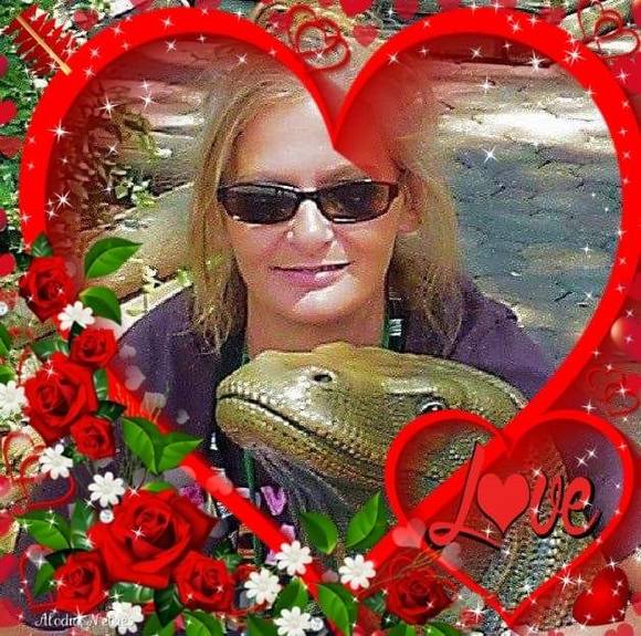 Profile Picture of Debbie Kohlert (@debbiekohlert) on Poshmark