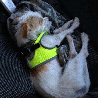 Profile Picture of Nathan Slatton (@yes_no_taco) on Twitter