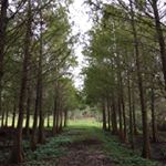 Raymond Nason - Instagram Profile Picture of Raymond Nason (@rrjn120985) on Instagram