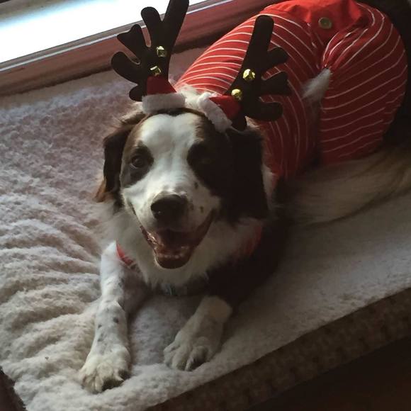 Profile Picture of Laura Josselson (@ljosselson) on Poshmark