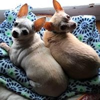 Profile Picture of Claudia Sampson (@claudia-sampson-5) on Quora