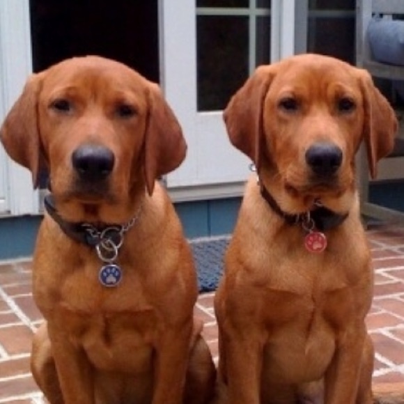 Profile Picture of Jameson Ling (@jamesonling) on Poshmark