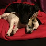 Profile Picture of Bronwyn James (@bronwynj) on Instagram