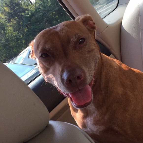 Profile Picture of Sean Odonnell (@shizini) on Poshmark