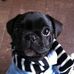 Profile Picture of Pick Harris (Pickel) (@pick.harris.14) on Facebook
