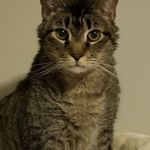 Ernest Wilder - Instagram Profile Picture of Ernest Wilder (@gr33narrow24) on Instagram