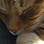 Profile Picture of Lisa Kennedy (@colored words) on Flickr