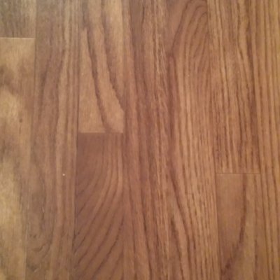 Profile Picture of Tom Panepinto (@tompanepinto) on Twitter