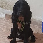 Profile Picture of Stephany Hughes (@joann_hughess) on Instagram