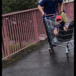 Profile Picture of scooott (@scott_mcilwaine) on Instagram