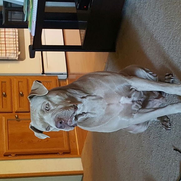 Profile Picture of John Chrisman (@johnchrisman) on Poshmark