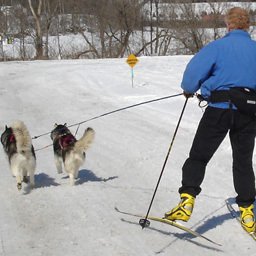 Profile Picture of Julius Goodman (@xcskijor) on Twitter