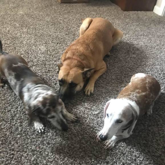 Kerri Conklin - Poshmark Profile Picture of Kerri Conklin (@metalgirl218) on Poshmark