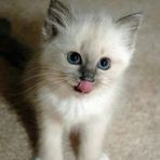 Profile Picture of Anna Repetto (@anna.repetto.35) on Facebook