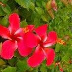 Profile Picture of Nancy Edwards (@nancy.edwards.7121) on Facebook