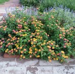 Profile Picture of Vicki Selke (@vicki.selke.98) on Facebook