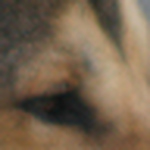 Profile Picture of Ananda S (@ragpicker6) on Flickr