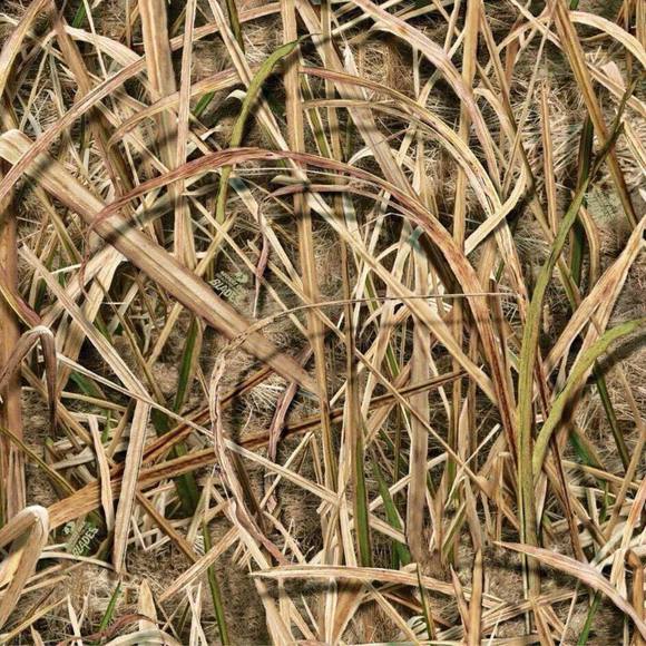 Profile Picture of Bradley Barber (@bradleybarbe376) on Poshmark