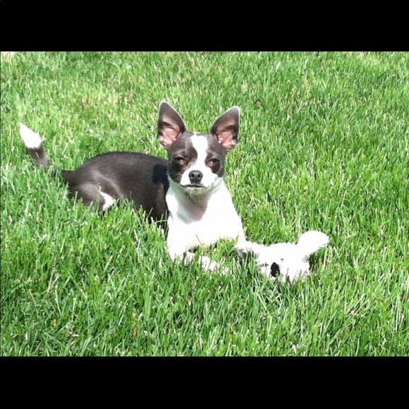 Profile Picture of Scott Brack (@35cents) on Poshmark