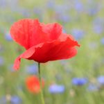 Profile Picture of Marek Lubner (@marek.lubner) on Instagram