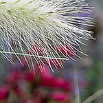 Profile Picture of Pam Wright (@pamwright949) on Flickr