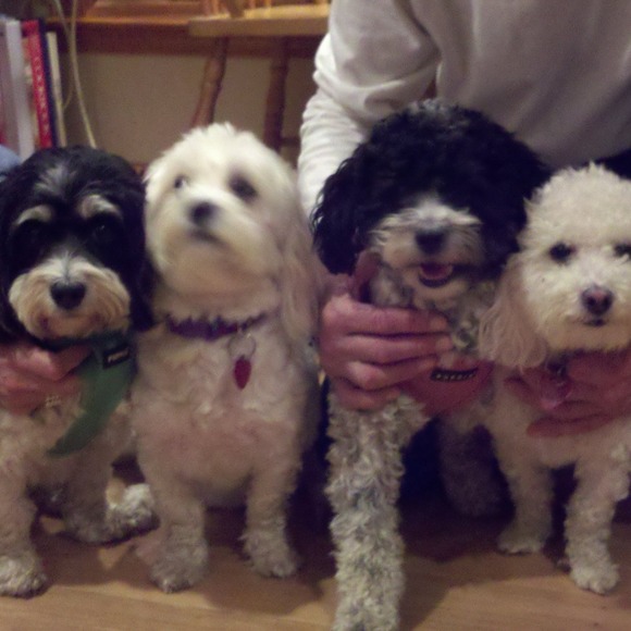 Profile Picture of Kathleen Rozicki (@rozickik477) on Poshmark