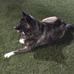 Profile Picture of Edward Estrada (@snowkid19) on Instagram