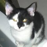 Profile Picture of Michelle Moroski Zarko (@mmzarko) on Instagram