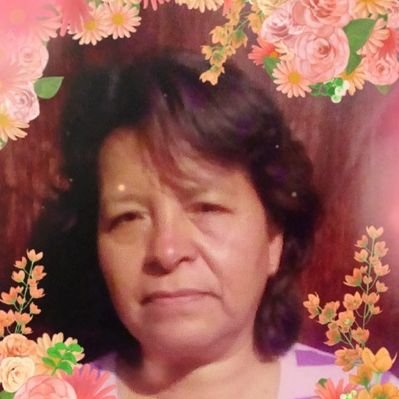 Profile Picture of Adriana Bermudez Briseño (@BrisenoBermudez) on Twitter