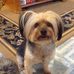 Profile Picture of Howard Mathes (@howard.mathes.7) on Facebook