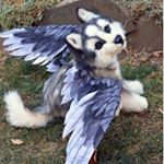 Profile Picture of Alexandra Shay (@alexandra.shay.lol) on Instagram