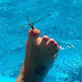 Profile Picture of Janice James (@jancjames) on Pinterest