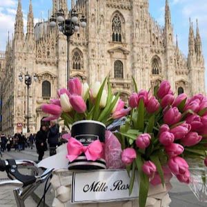 Profile Picture of Tony Bianca (@tony.bianca1) on Tiktok