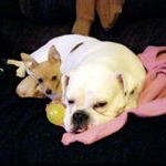 Profile Picture of Bryan N Brooke (@bryan_n_brooke) on Instagram