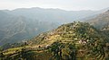 Profile Picture of Syangja Districton Wikipedia
