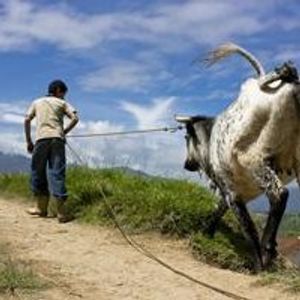 Profile Picture of Cesar Quijada (@cesarquijada) on Myspace