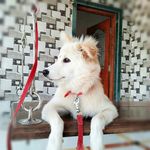 Profile Picture of Avinash Andher (@av.inash5370) on Instagram