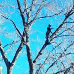 Profile Picture of Richard Jacob Withey (@gorillabear1990) on Instagram