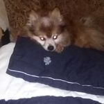 Profile Picture of Mark McCaslin (@mccaslin9017) on Instagram