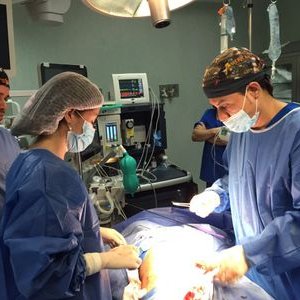 Profile Picture of Oswaldo Ibarra (@Oswaldoiba) on Twitter