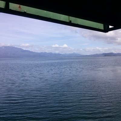 Profile Picture of José Vindel (@jvindelhn) on Twitter