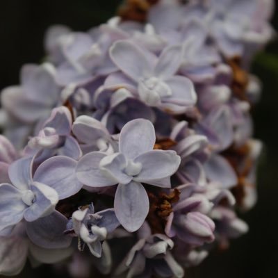 Profile Picture of Neal T Walsh (@_minor_arcana_) on Twitter