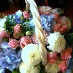 Cori Matthews - Instagram Profile Picture of Cori Matthews (@corivamatthp1) on Instagram