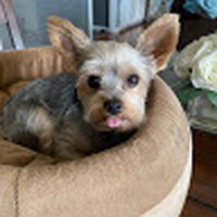 Profile Picture of Christina Towns (@christina-towns-2) on Quora
